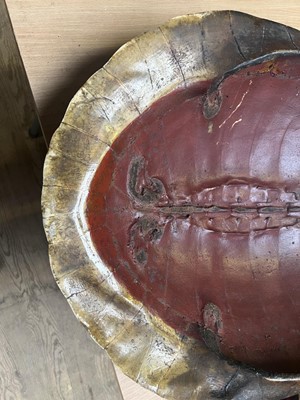 Lot 181 - Natural History: Giant South American River...