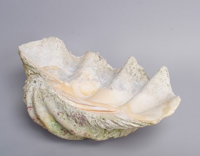 Lot 178 - Conchology: Giant Clam Shell (Tridacna gigas),...