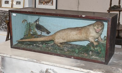 Lot 1107 - Taxidermy: A Late Victorian Cased European...