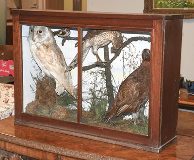 Lot 1117 - Taxidermy: A Late Victorian Cased Display of...