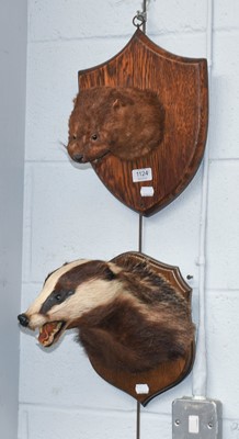 Lot 1124 - Taxidermy: A Late Victorian Otter Mask and...