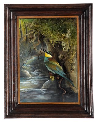 Lot 112 - Taxidermy: A Wall Cased European Bee-eater...
