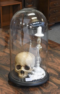 Lot 1124A - Collectables: A Re-creation of a Human Skull...