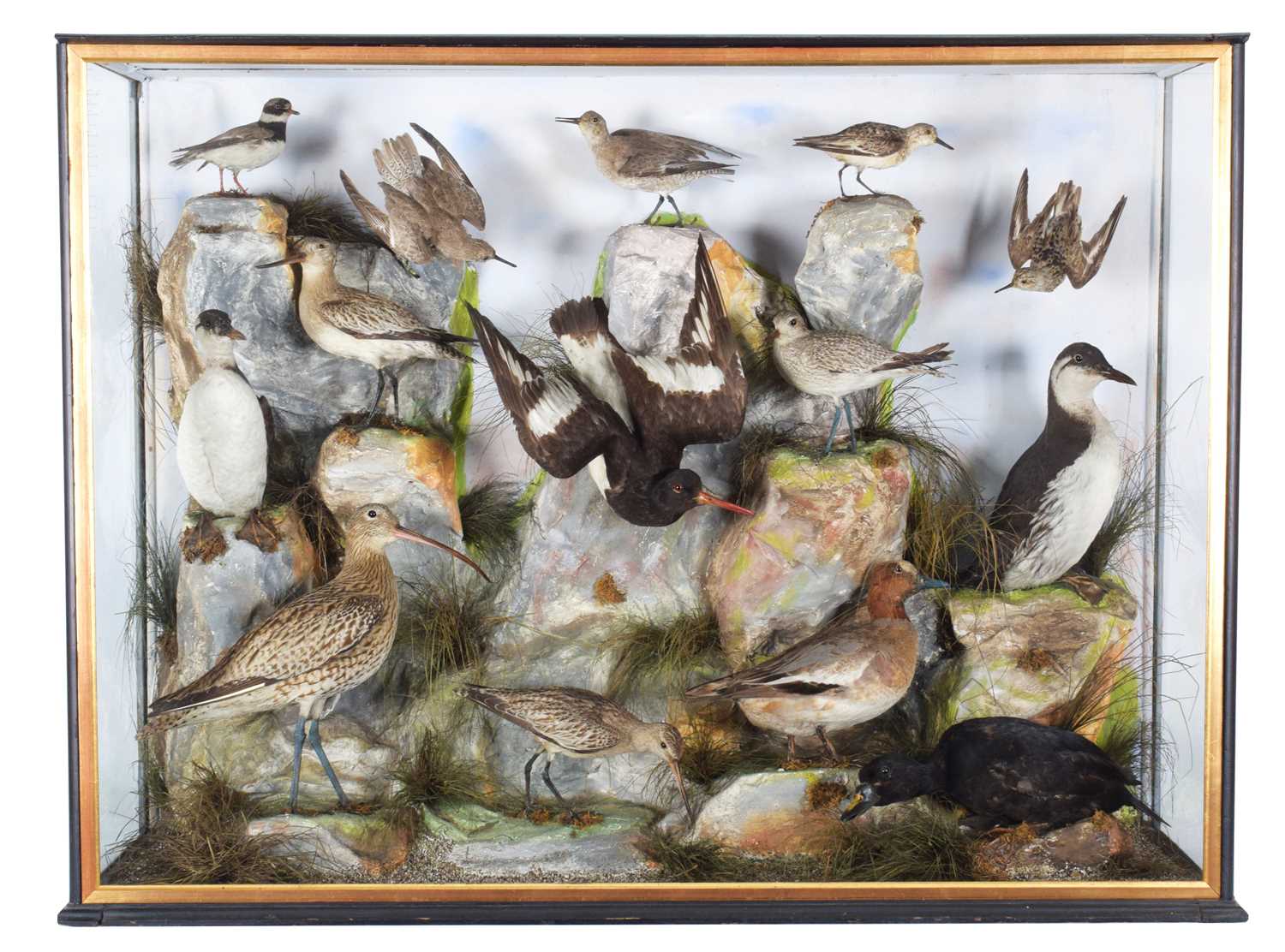 Lot 5 - Taxidermy: A Large Late Victorian Diorama of...