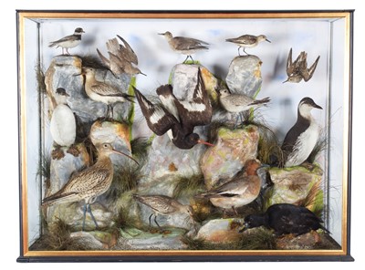 Lot Taxidermy: A Large Late Victorian Diorama of...