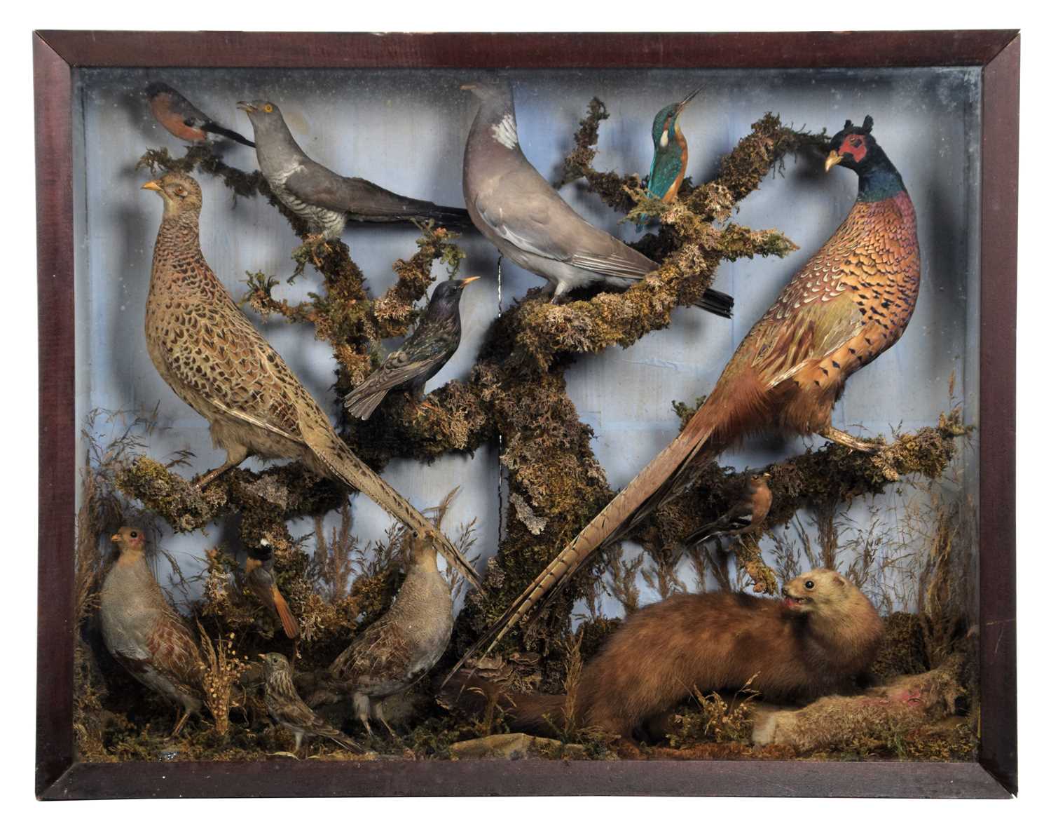 Lot 2 - Taxidermy: A Victorian Diorama of British...