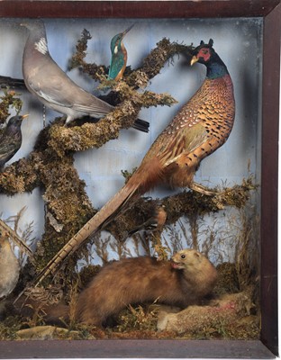 Lot 2 - Taxidermy: A Victorian Diorama of British...