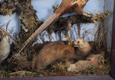 Lot 2 - Taxidermy: A Victorian Diorama of British...
