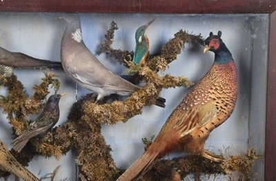 Lot 2 - Taxidermy: A Victorian Diorama of British...