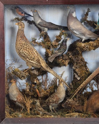 Lot 2 - Taxidermy: A Victorian Diorama of British...