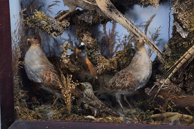 Lot 2 - Taxidermy: A Victorian Diorama of British...