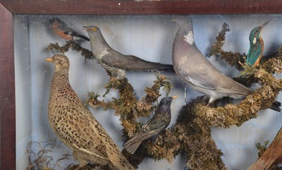 Lot 2 - Taxidermy: A Victorian Diorama of British...
