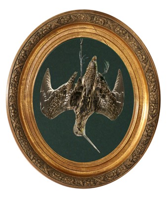 Lot 291 - Taxidermy: A Wall Cased Common Snipe...