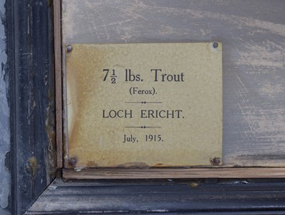 Lot 1136 - Taxidermy: A Scottish Brown Trout (Salmo...