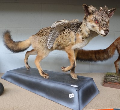 Lot 1227 - Taxidermy: A Composed Mystical Fox (Vulpes...