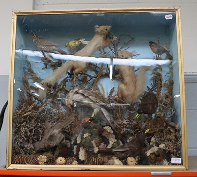 Lot 1228 - Taxidermy: A Late Victorian Diorama of British...