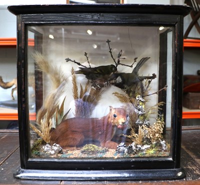 Lot 1236A - Taxidermy: A Late Victorian Cased Red Squirrel,...