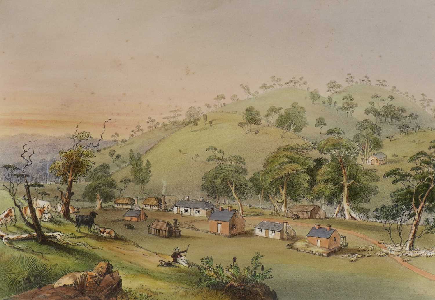 Lot 84 - ‘Agricola’. Description of The Barossa Range