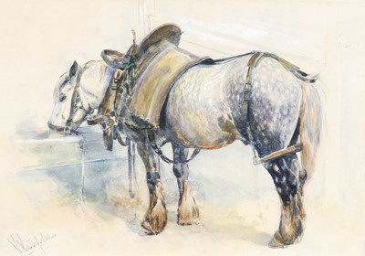 Lot 509 - William Woodhouse (1857-1939) Dapple grey...