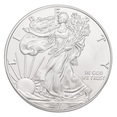 Lot 158 - 22x USA 1oz Fine Silver Eagles, comprising;...