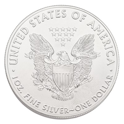 Lot 158 - 22x USA 1oz Fine Silver Eagles, comprising;...