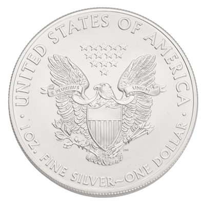 Lot 159 - 17x USA 1oz Fine Silver Eagles 2013, one...