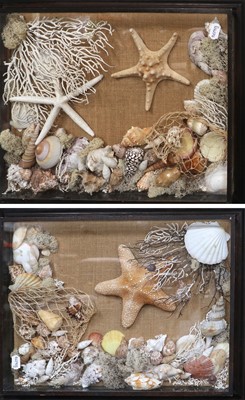 Lot 1138 - A Pair of Seashell and Coral Dioramas, 57cm by...