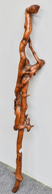 Lot 257 - A Turned Rootwood Walking Stick, 87cm long
