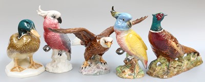 Lot 158 - Beswick Birds, including Cockatoo model No....