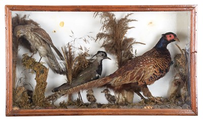 Lot 1151 - Taxidermy: A Late Victorian Cased Ring-necked...