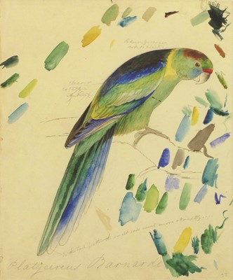 Lot 1051 - After Edward Lear (1812-1888) "Barnard's...