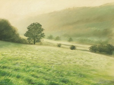 Lot 1052 - Jim Wright (Contemporary) "Fields of Dew, near...