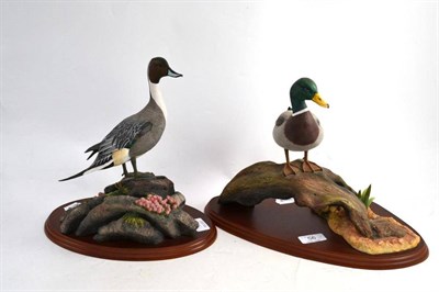 Lot 56 - Two Border Fine Arts 'Water Fowl of the World' series figures, ";Mallard"; and ";Pintail";,...