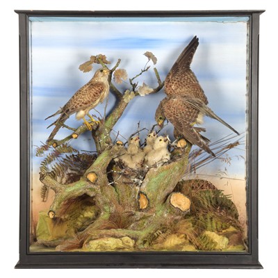 Lot Taxidermy: A Late Victorian Cased Family Group...