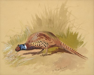 Lot 1015 - Archibald Thorburn FZS (1860-1935) "Chinese...