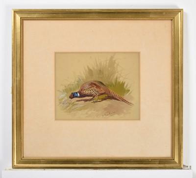 Lot 1015 - Archibald Thorburn FZS (1860-1935) "Chinese...