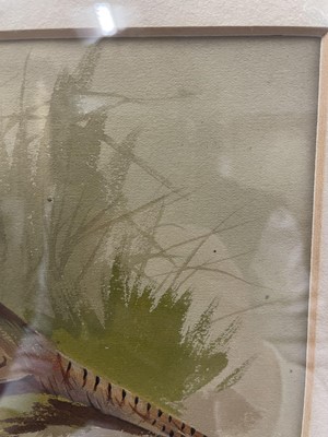 Lot 1015 - Archibald Thorburn FZS (1860-1935) "Chinese...