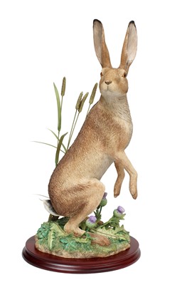 Lot 191 - Border Fine Arts 'Wary' (Hare among Thistles),...