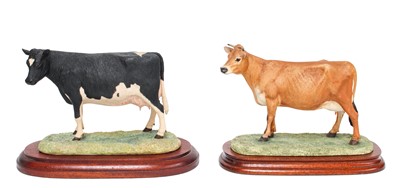 Lot 135 - Border Fine Arts 'Jersey Cow (Horned)', model...