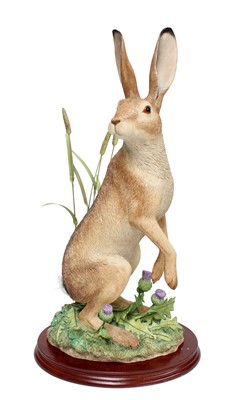 Lot Border Fine Arts 'Wary' (Hare among Thistles),...
