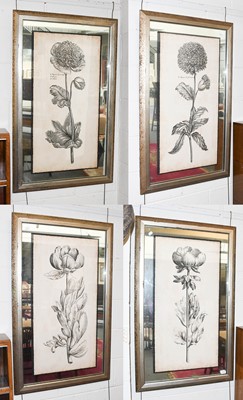 Lot 1056 - Set of Four Decorative John-Richard Botanical...