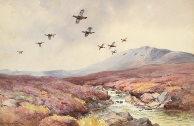 Lot 1017 - Roland Green (1896-1972) Grouse in flight over...