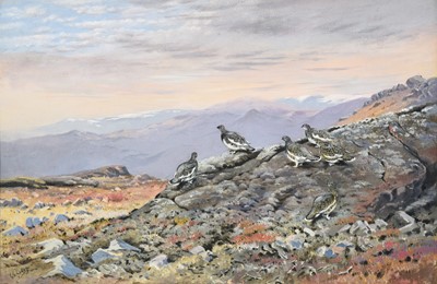 Lot 1016 - George Edward Lodge (1860-1954) Ptarmigan in...