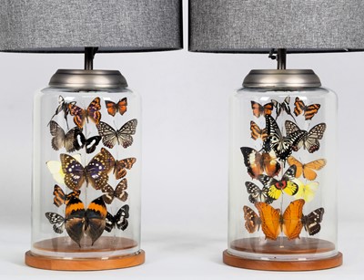 Lot Entomology: A Pair of Glass Jar Butterfly...