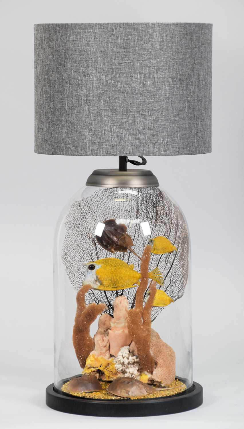 Lot 152 - Taxidermy: A Glass Jar Tropical Fish Lamp,...