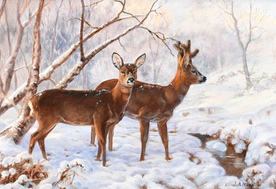 Lot 1070 - Elizabeth Halstead (20th Century) "Roe Deer in...