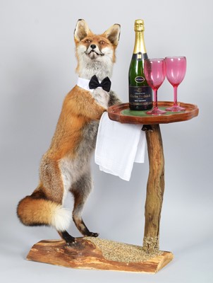 Lot Anthropomorphic Taxidermy: A Red Fox...