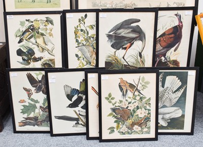 Lot 1075 - A Set of Nine John James Audubon's "Birds of...