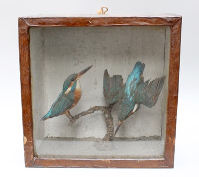 Lot 118 - Taxidermy: A Late Victorian Cased Pair of...