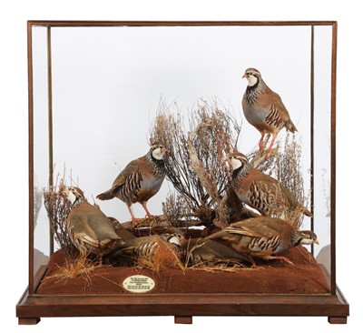 Lot 253 - Taxidermy: A Diorama of Red-legged Partridge...